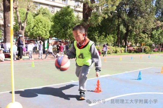 篮球训练检讨200字左右_0